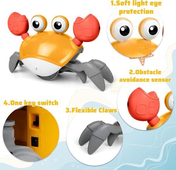 Crawling Crab Baby Toy (random color)